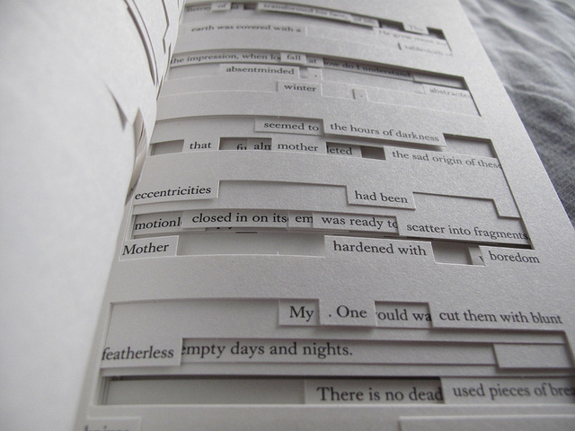from Jonathan Safran Foer's, Tree of Codes, excised from Schulz's The Street of Crocodiles